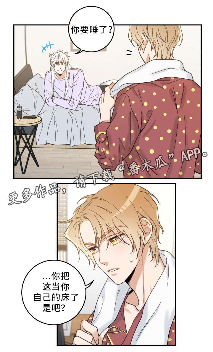 《亲爱的喵君》漫画最新章节第12章：无事发生免费下拉式在线观看章节第【13】张图片