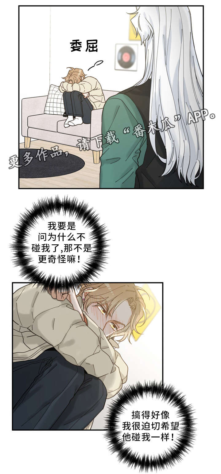 《亲爱的喵君》漫画最新章节第13章：心心念念免费下拉式在线观看章节第【3】张图片