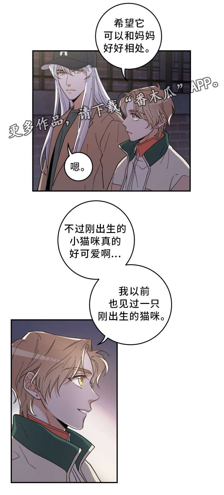 《亲爱的喵君》漫画最新章节第15章：抓伤免费下拉式在线观看章节第【2】张图片