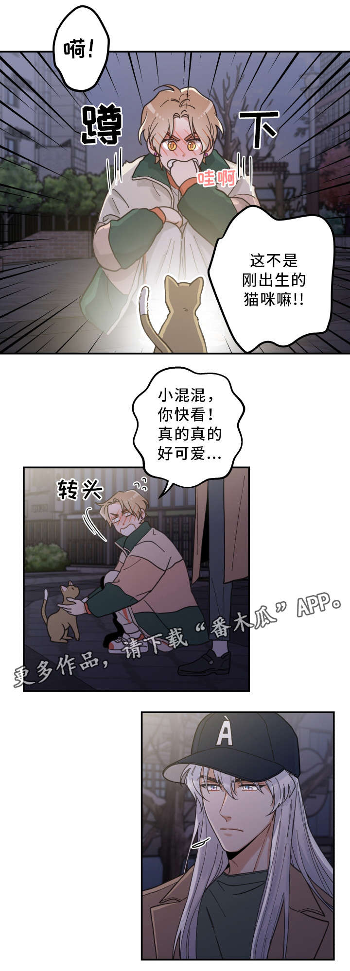 《亲爱的喵君》漫画最新章节第15章：抓伤免费下拉式在线观看章节第【16】张图片