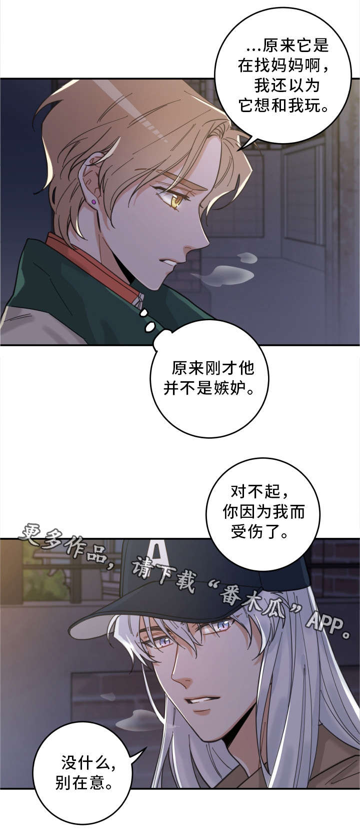 《亲爱的喵君》漫画最新章节第15章：抓伤免费下拉式在线观看章节第【3】张图片