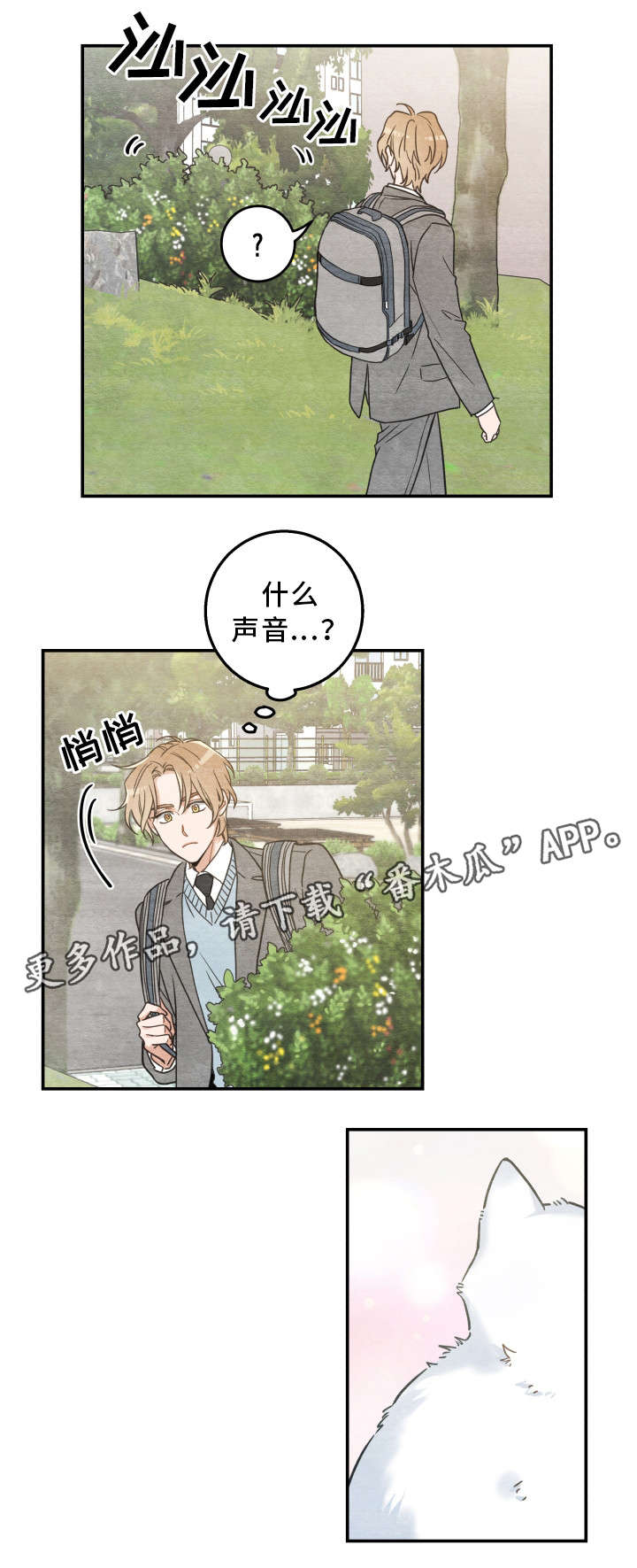 《亲爱的喵君》漫画最新章节第16章：白猫莱一免费下拉式在线观看章节第【7】张图片