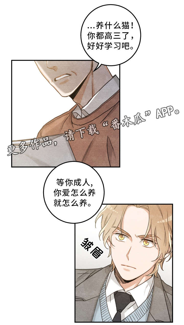 《亲爱的喵君》漫画最新章节第17章：无法拒绝免费下拉式在线观看章节第【17】张图片