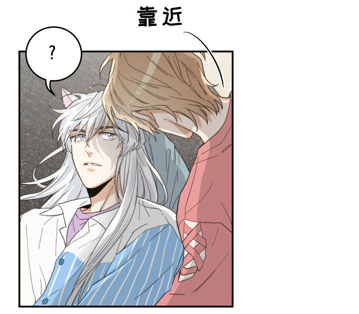 《亲爱的喵君》漫画最新章节第18章：无动于衷免费下拉式在线观看章节第【6】张图片