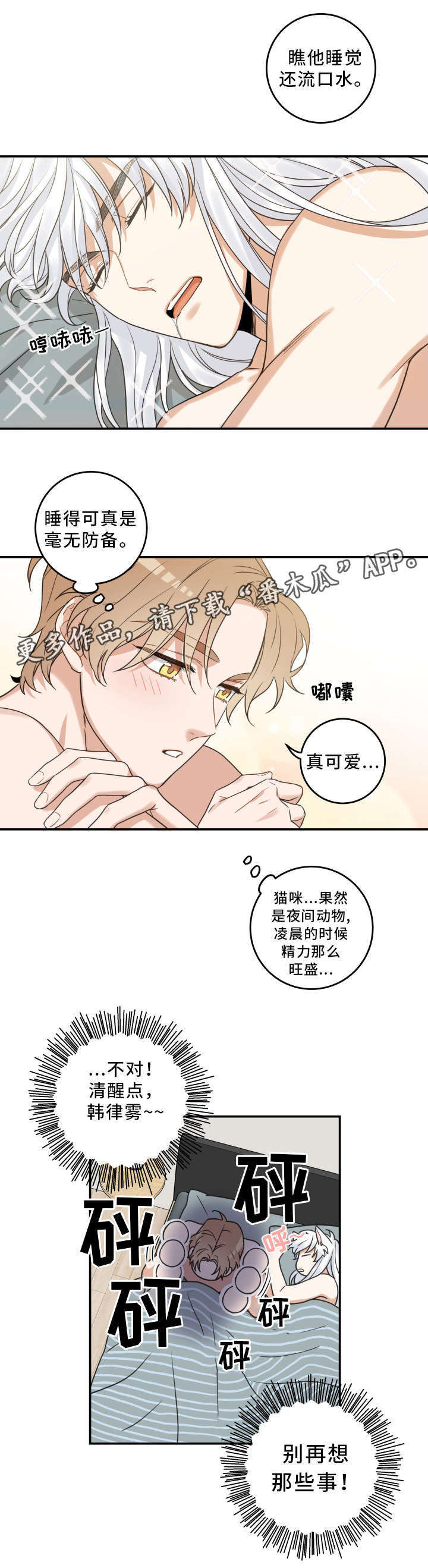 《亲爱的喵君》漫画最新章节第21章：炸了免费下拉式在线观看章节第【1】张图片