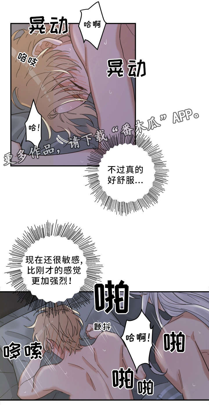 《亲爱的喵君》漫画最新章节第21章：炸了免费下拉式在线观看章节第【5】张图片