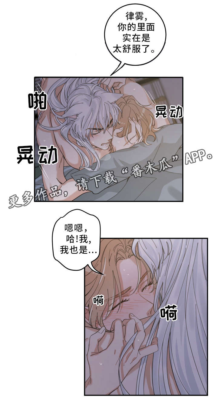 《亲爱的喵君》漫画最新章节第21章：炸了免费下拉式在线观看章节第【10】张图片