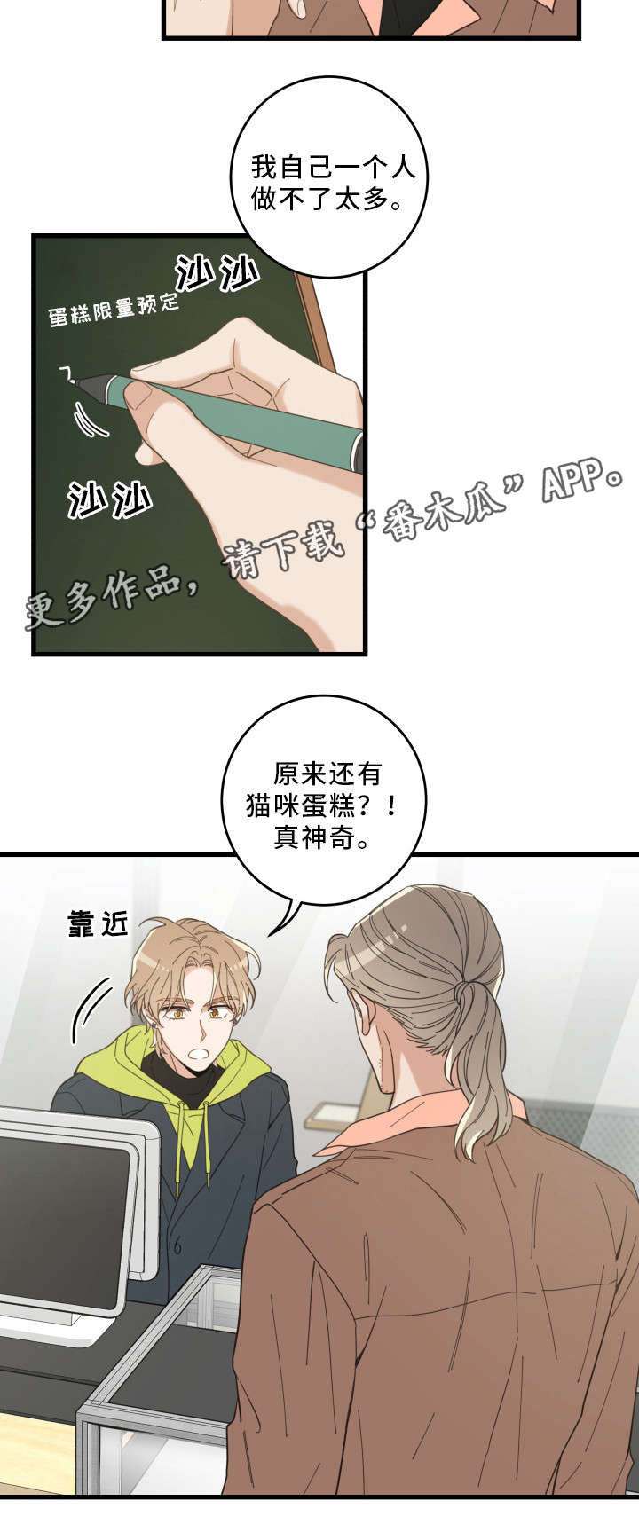 《亲爱的喵君》漫画最新章节第23章：再遇免费下拉式在线观看章节第【1】张图片