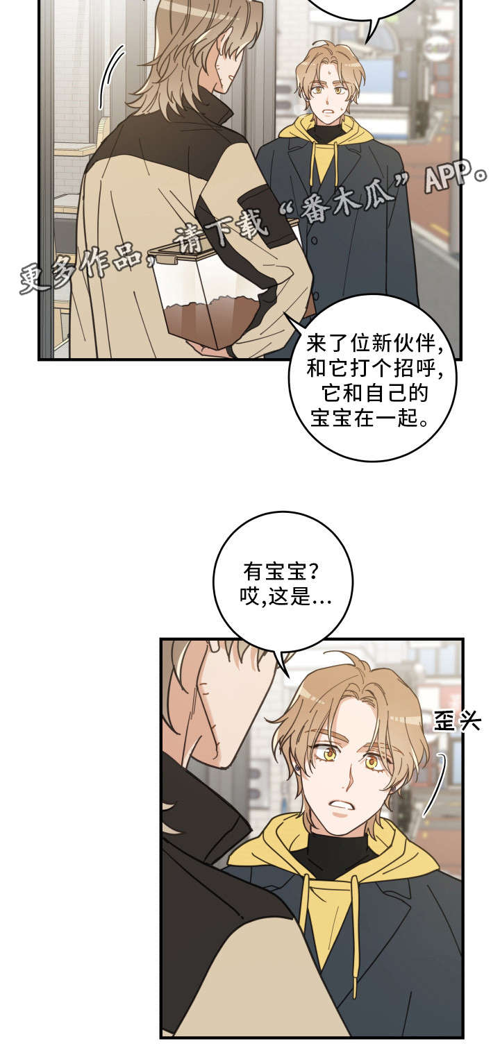 《亲爱的喵君》漫画最新章节第23章：再遇免费下拉式在线观看章节第【10】张图片