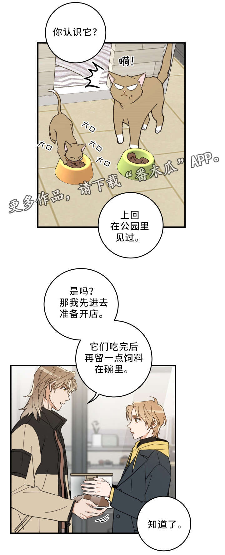 《亲爱的喵君》漫画最新章节第23章：再遇免费下拉式在线观看章节第【9】张图片