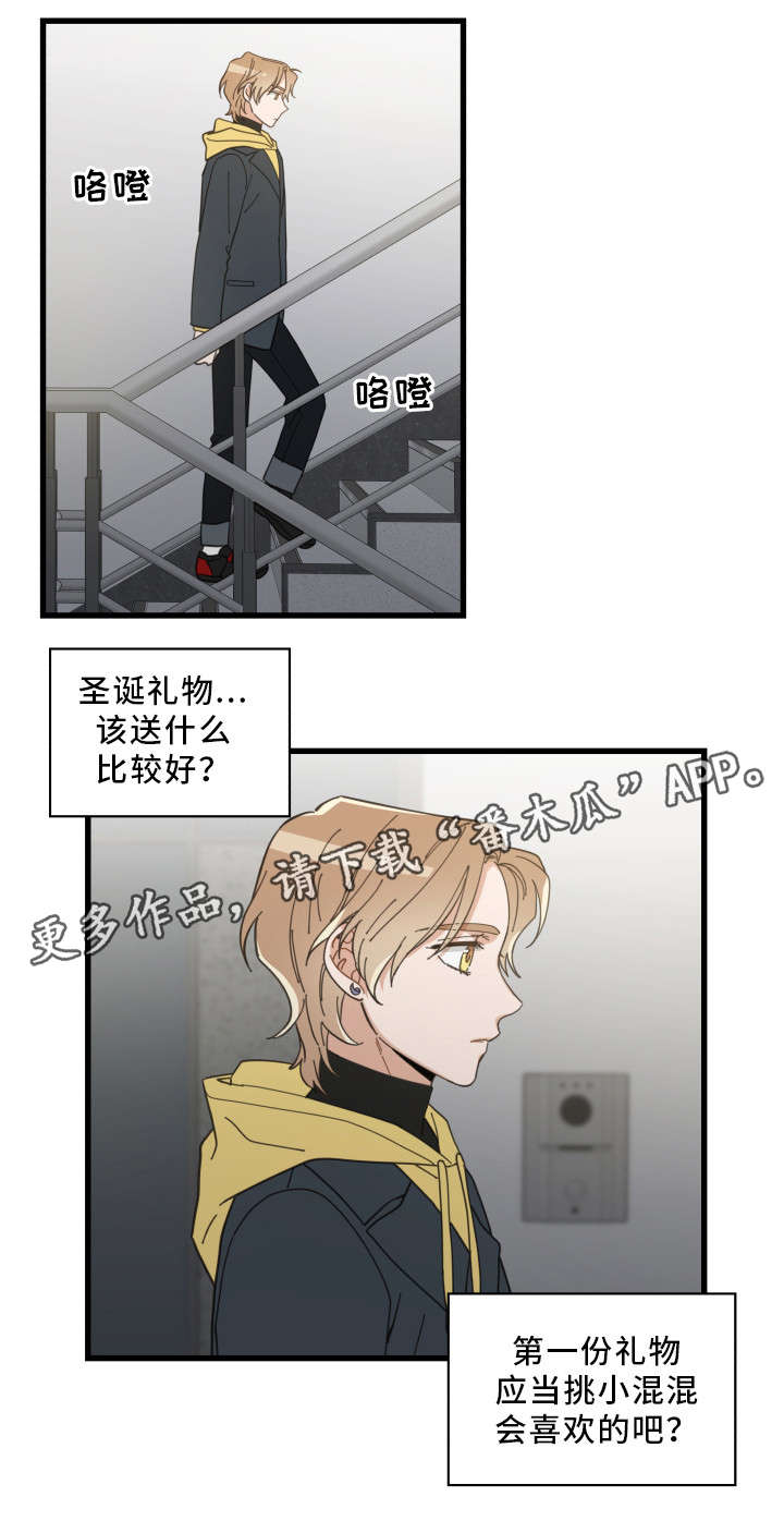 《亲爱的喵君》漫画最新章节第24章：圣诞前夕免费下拉式在线观看章节第【5】张图片