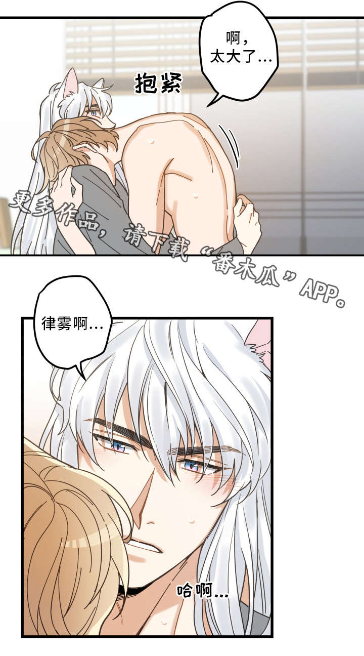 《亲爱的喵君》漫画最新章节第25章：分享爱免费下拉式在线观看章节第【3】张图片