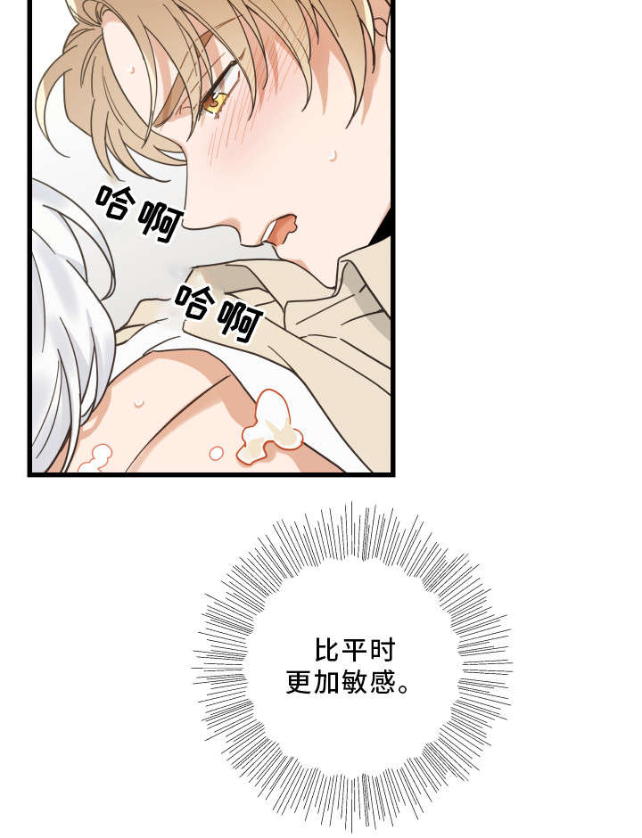 《亲爱的喵君》漫画最新章节第29章：不能浪费免费下拉式在线观看章节第【12】张图片