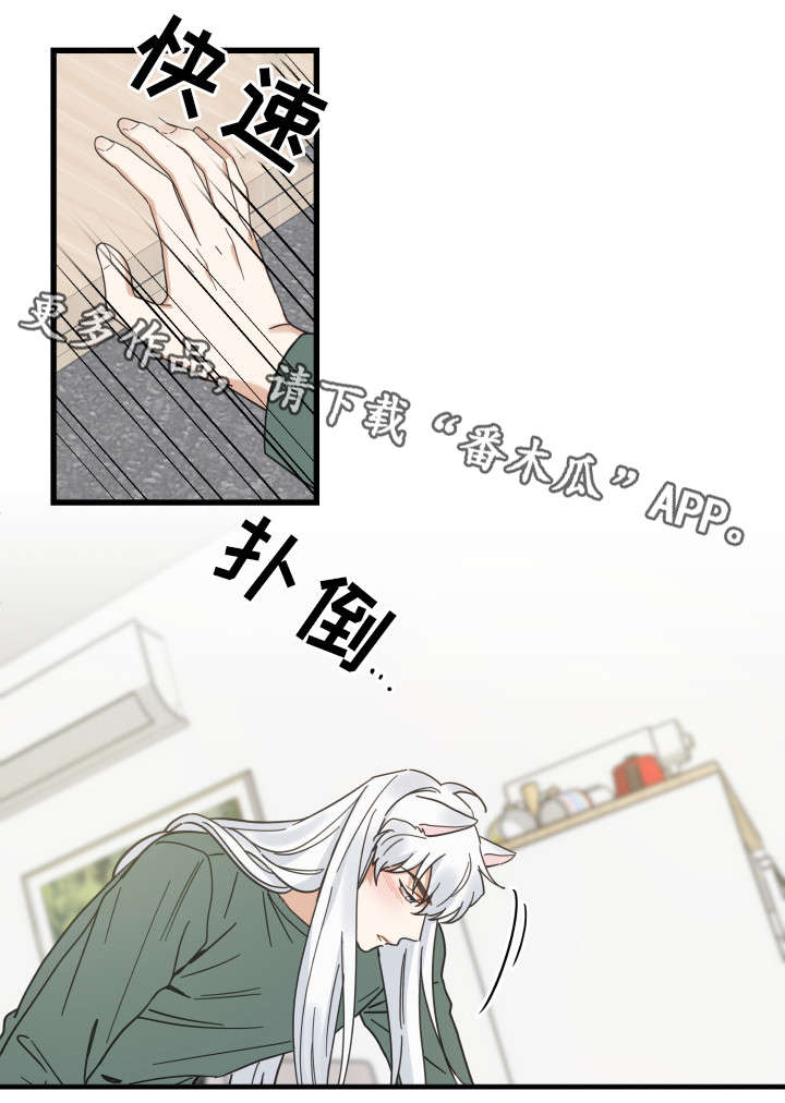 《亲爱的喵君》漫画最新章节第29章：不能浪费免费下拉式在线观看章节第【5】张图片