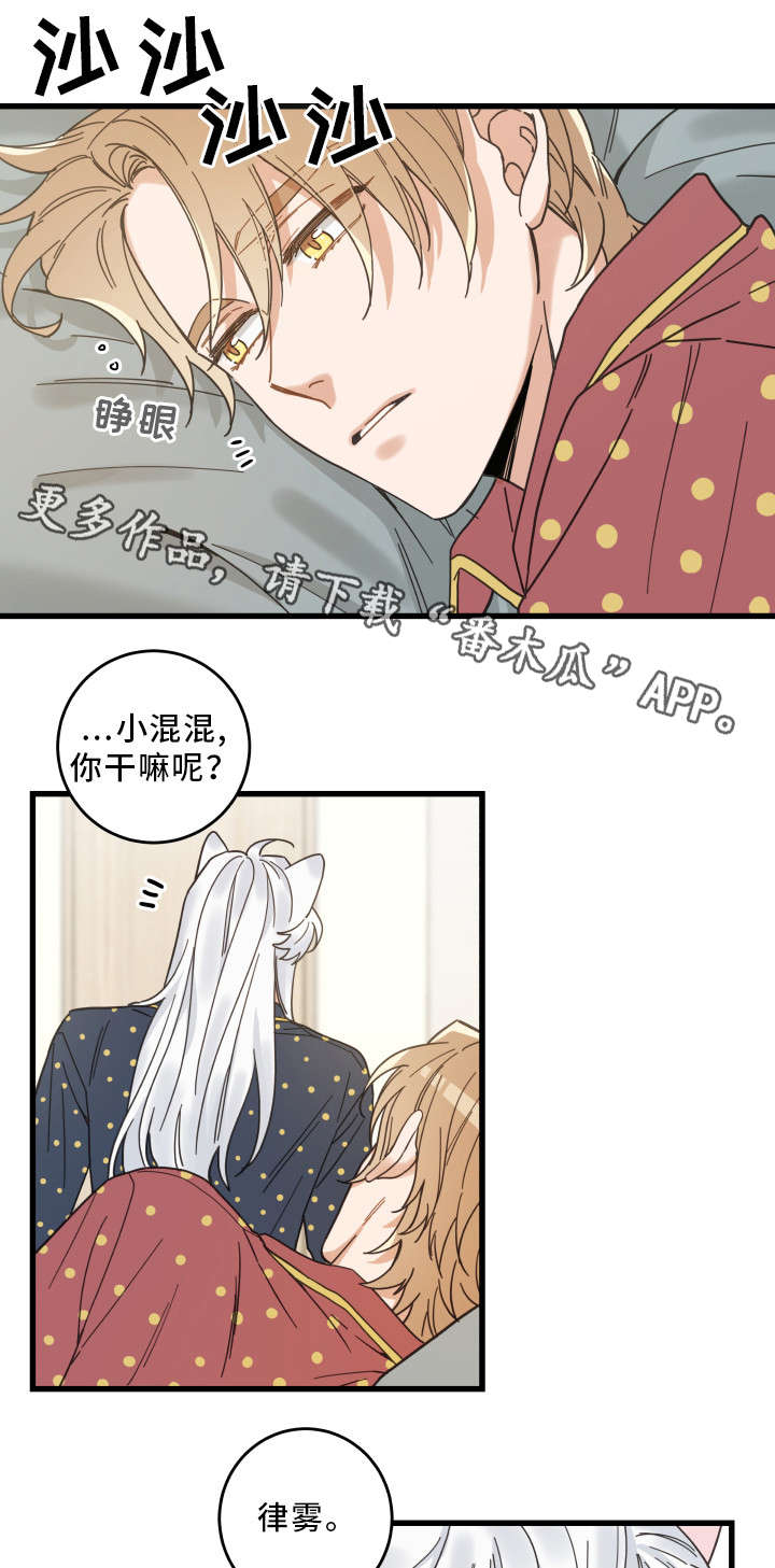 《亲爱的喵君》漫画最新章节第30章：最好的礼物免费下拉式在线观看章节第【14】张图片