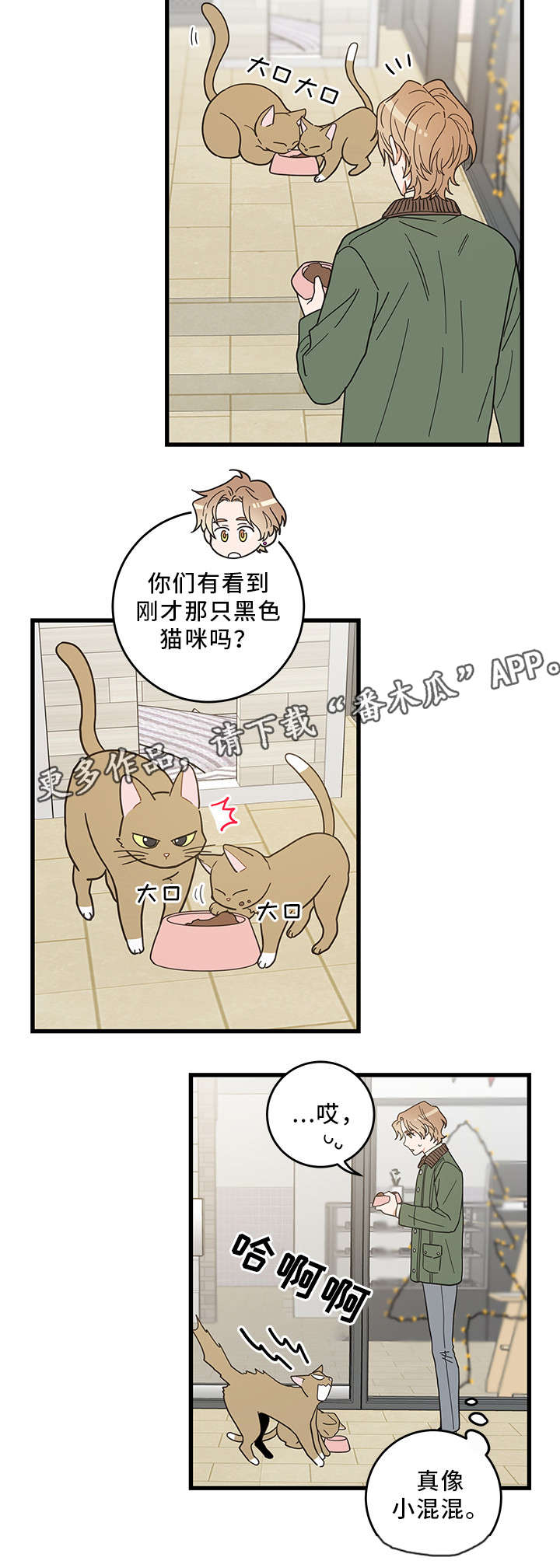 《亲爱的喵君》漫画最新章节第31章：黑猫免费下拉式在线观看章节第【4】张图片