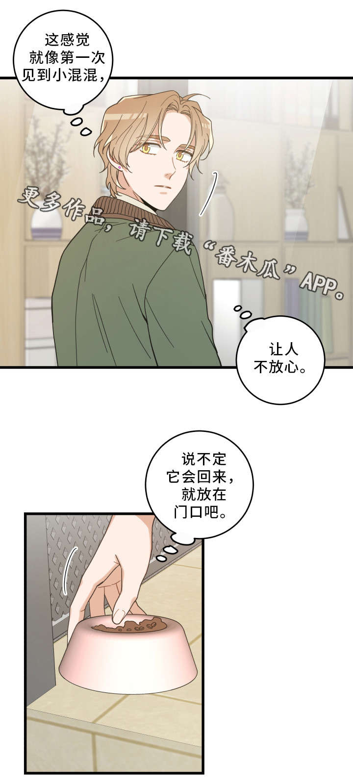 《亲爱的喵君》漫画最新章节第31章：黑猫免费下拉式在线观看章节第【3】张图片