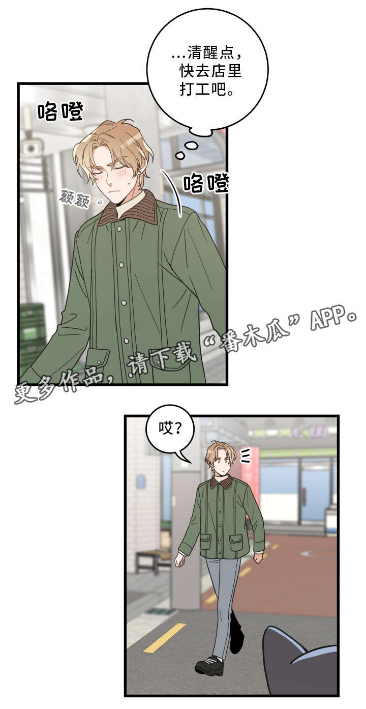 《亲爱的喵君》漫画最新章节第31章：黑猫免费下拉式在线观看章节第【13】张图片