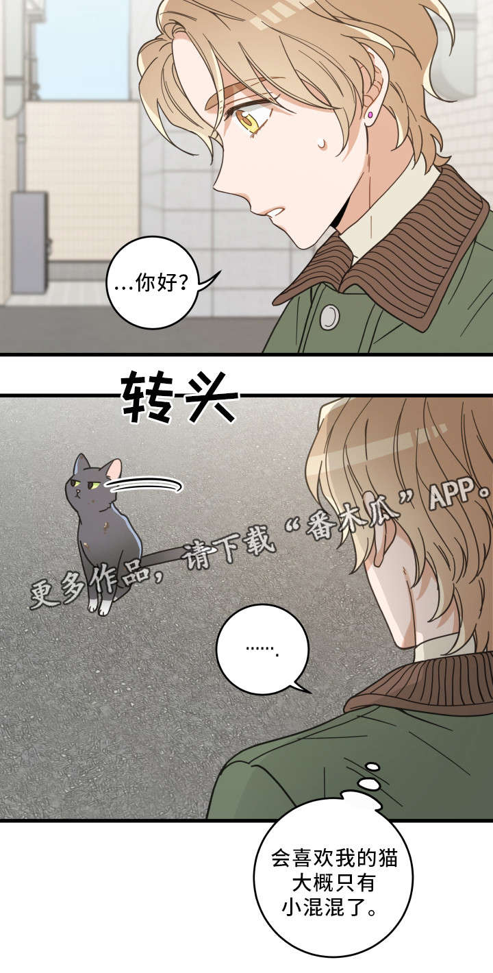 《亲爱的喵君》漫画最新章节第31章：黑猫免费下拉式在线观看章节第【11】张图片