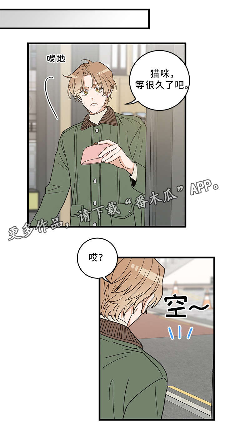 《亲爱的喵君》漫画最新章节第31章：黑猫免费下拉式在线观看章节第【6】张图片