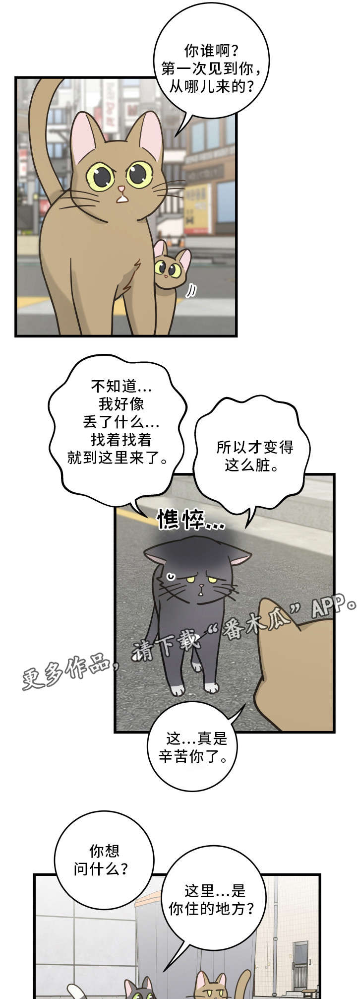 《亲爱的喵君》漫画最新章节第32章：晕倒免费下拉式在线观看章节第【17】张图片