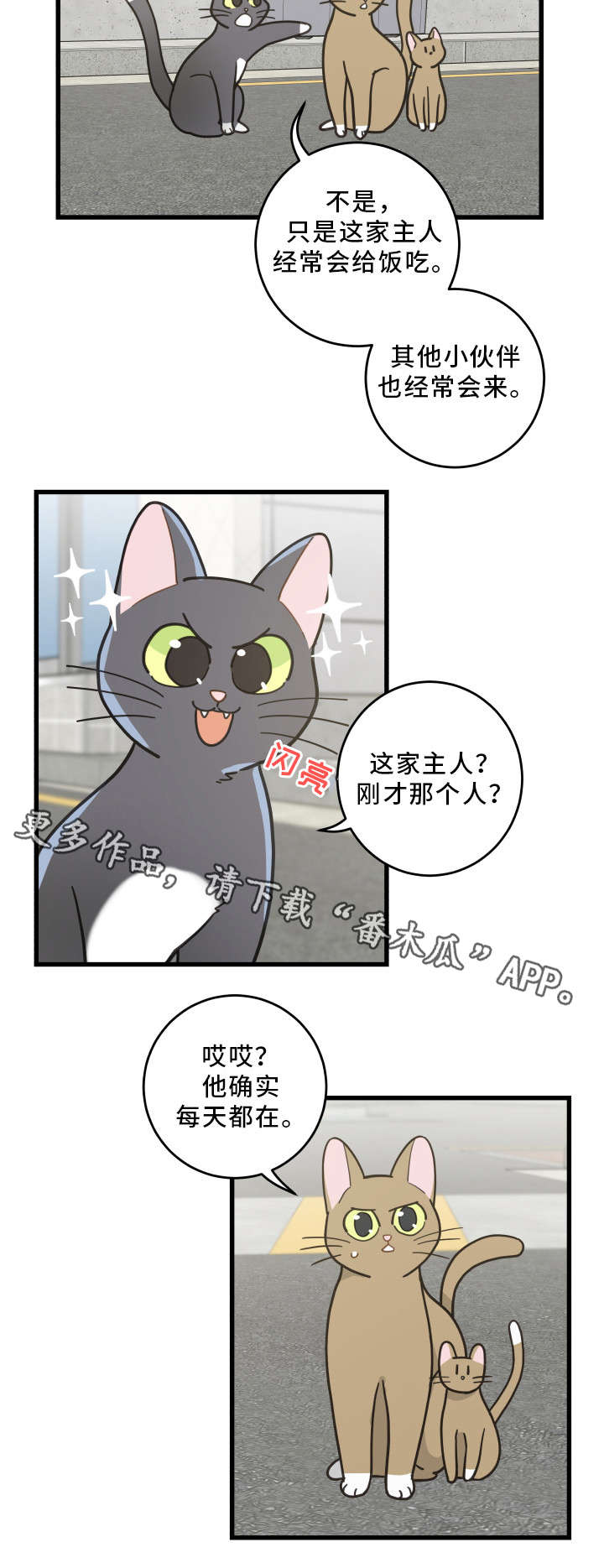 《亲爱的喵君》漫画最新章节第32章：晕倒免费下拉式在线观看章节第【16】张图片