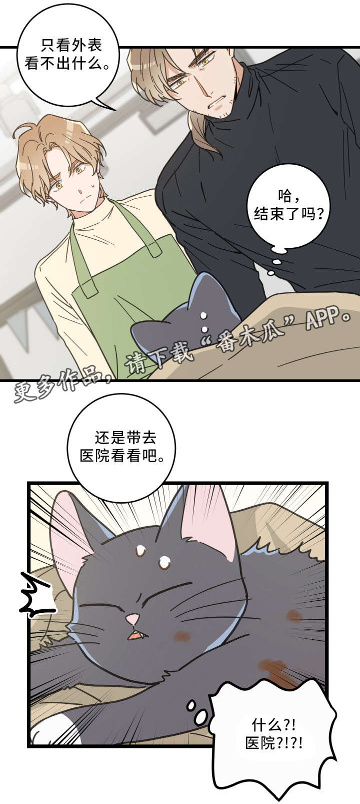 《亲爱的喵君》漫画最新章节第32章：晕倒免费下拉式在线观看章节第【1】张图片