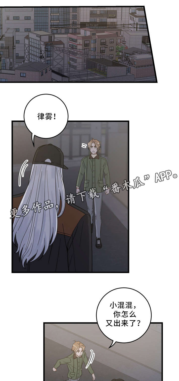 《亲爱的喵君》漫画最新章节第33章：好想你免费下拉式在线观看章节第【5】张图片