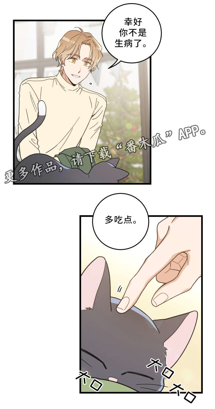 《亲爱的喵君》漫画最新章节第33章：好想你免费下拉式在线观看章节第【8】张图片