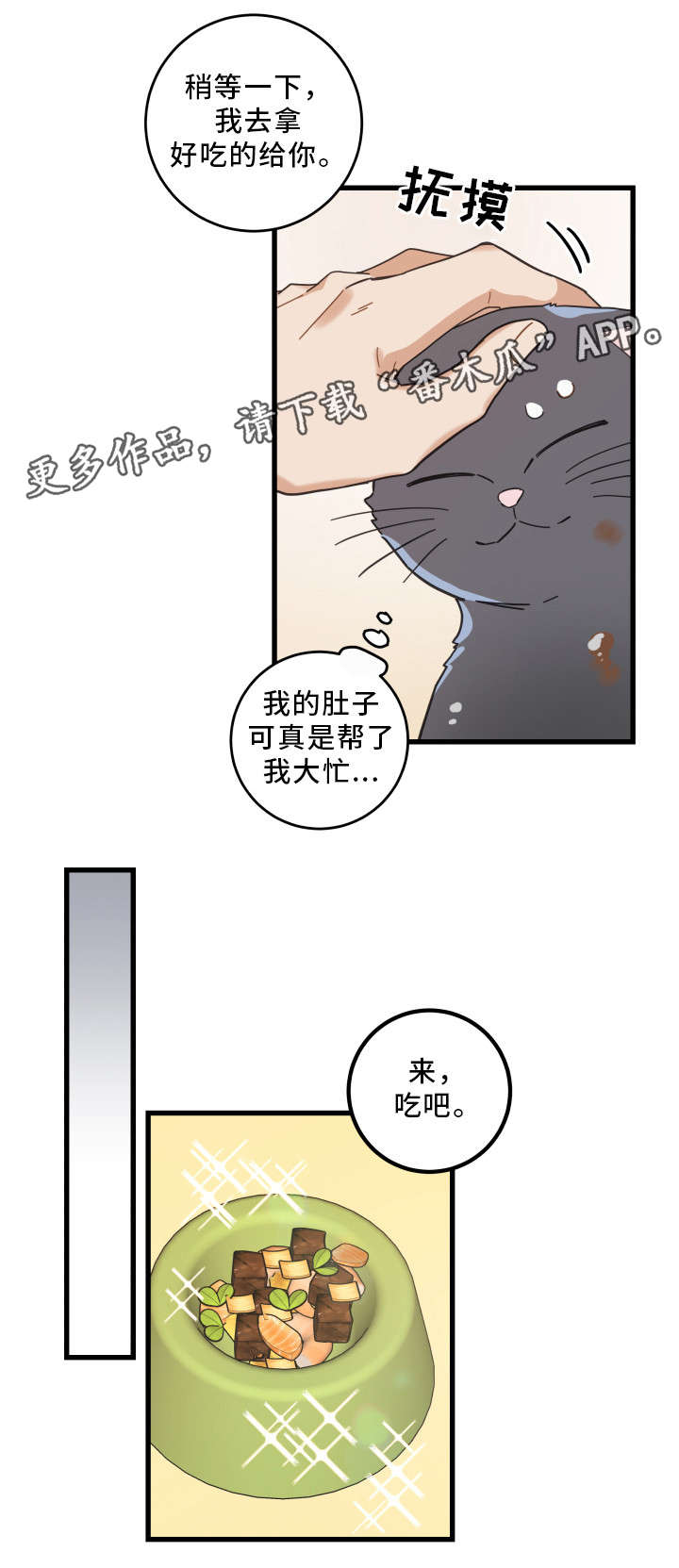 《亲爱的喵君》漫画最新章节第33章：好想你免费下拉式在线观看章节第【10】张图片