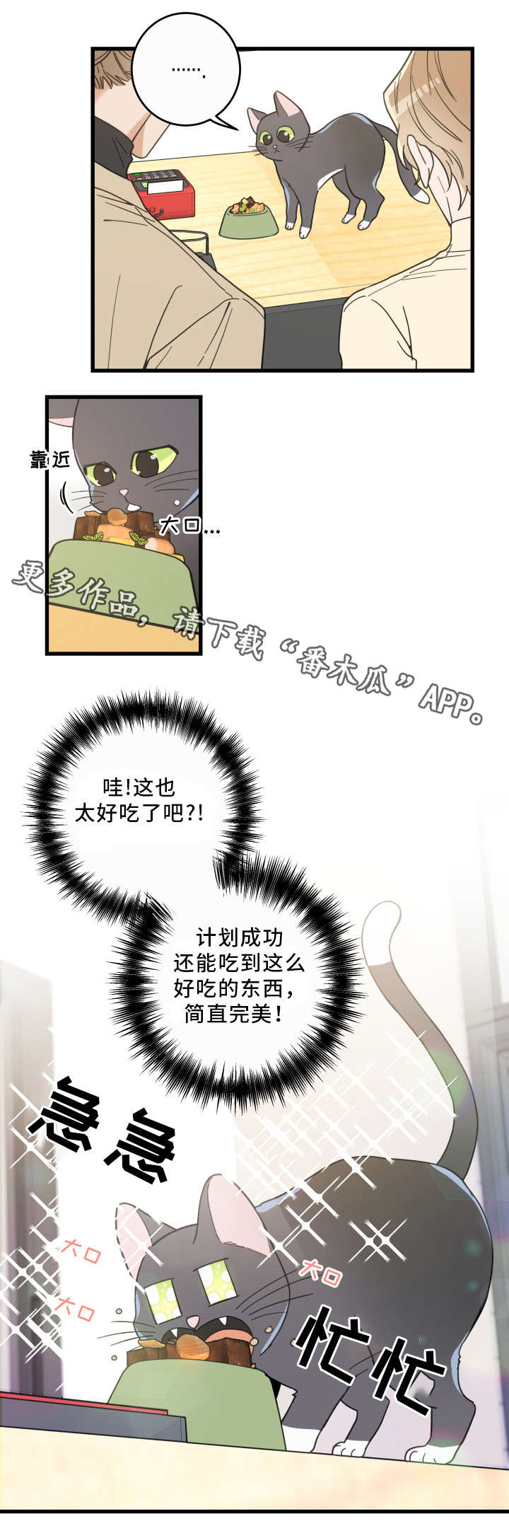 《亲爱的喵君》漫画最新章节第33章：好想你免费下拉式在线观看章节第【9】张图片