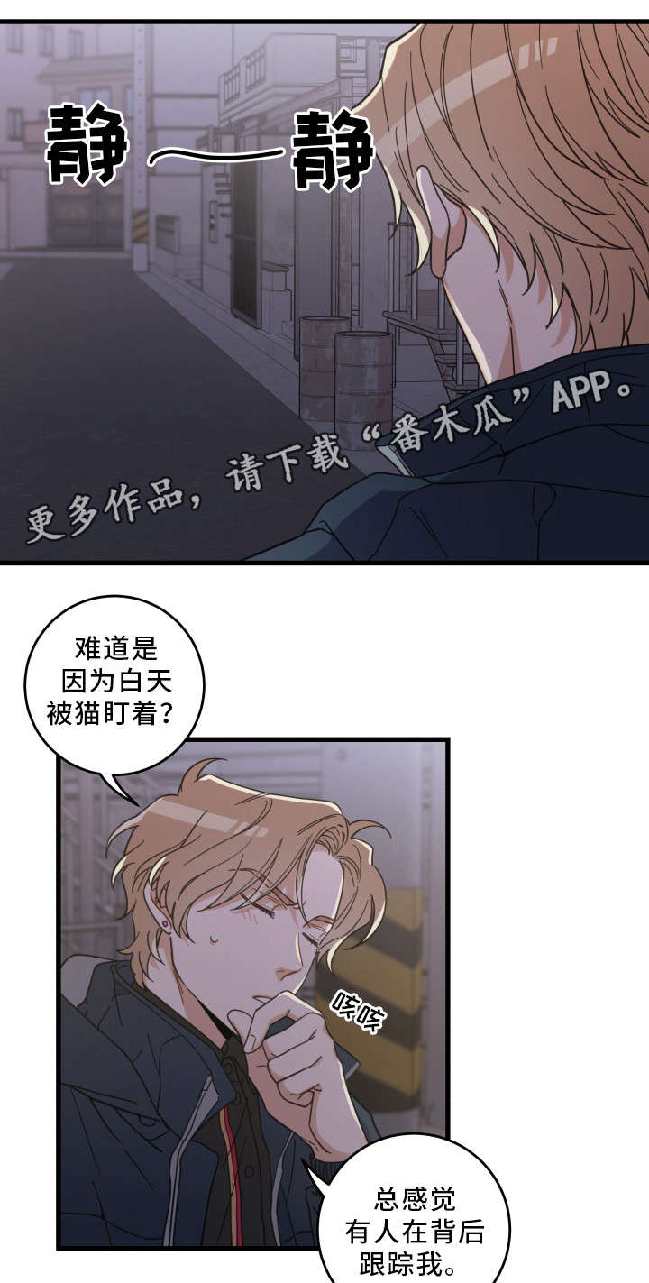 《亲爱的喵君》漫画最新章节第36章：跟踪免费下拉式在线观看章节第【16】张图片