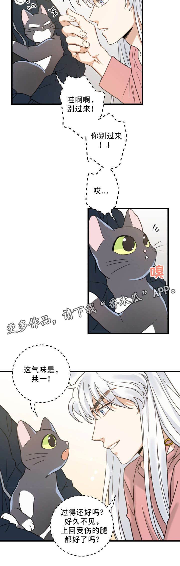 《亲爱的喵君》漫画最新章节第36章：跟踪免费下拉式在线观看章节第【3】张图片