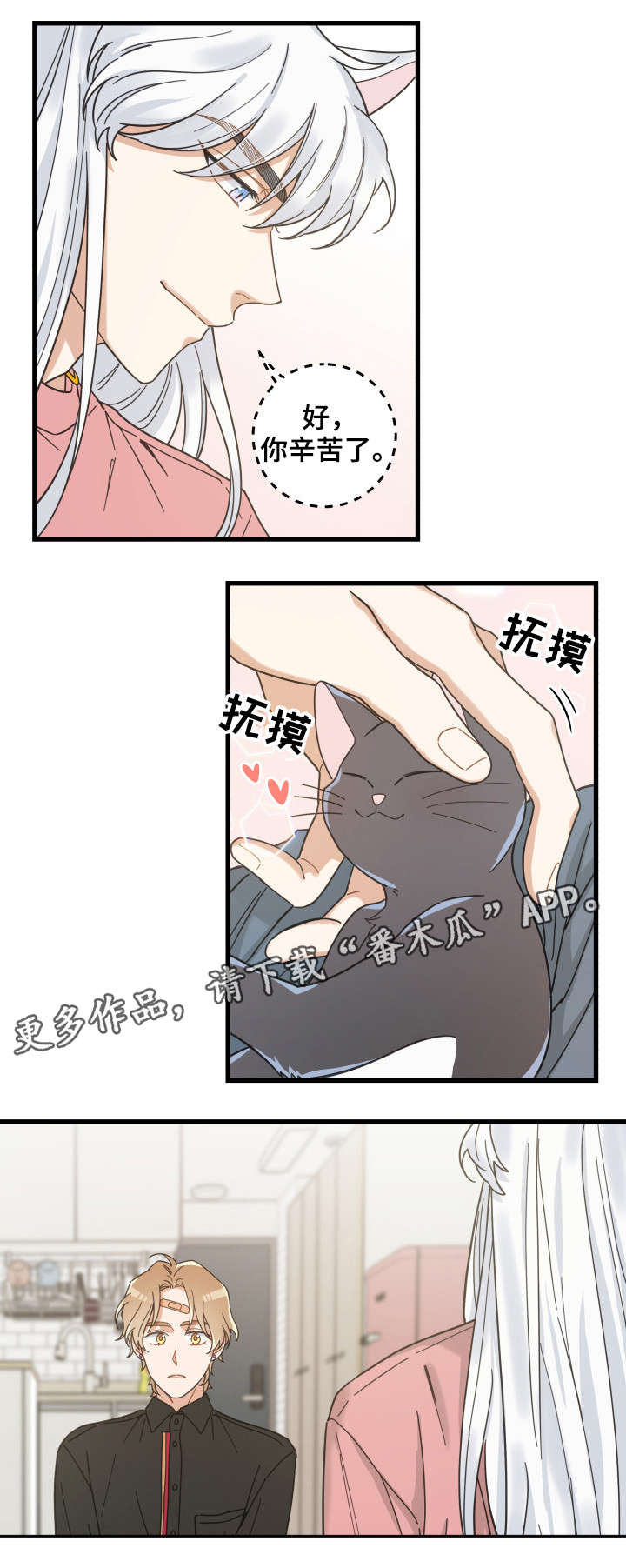 《亲爱的喵君》漫画最新章节第37章：试探免费下拉式在线观看章节第【9】张图片