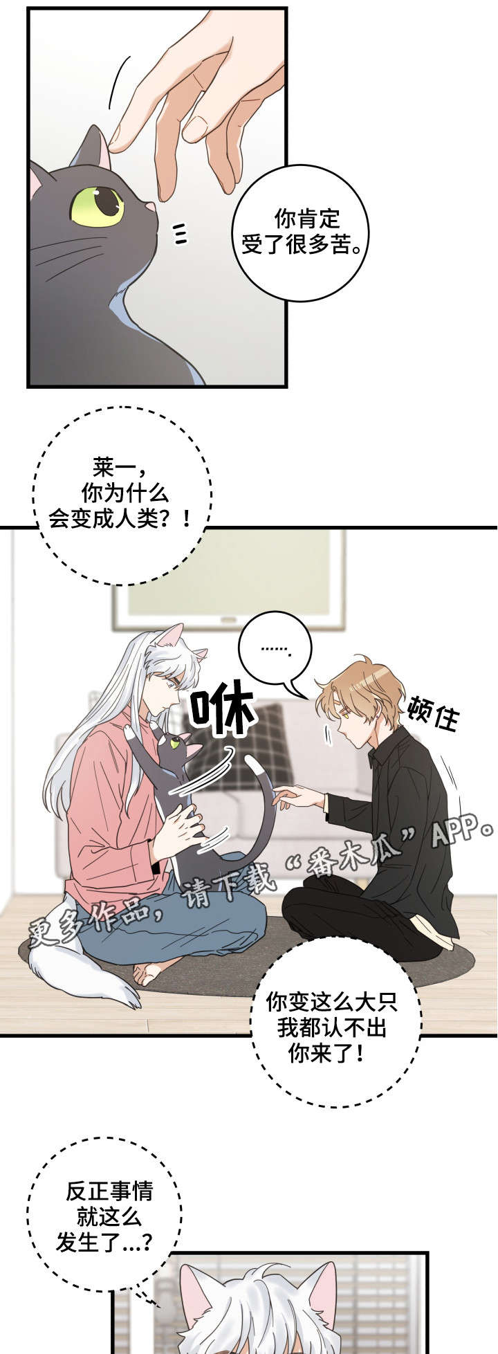 《亲爱的喵君》漫画最新章节第37章：试探免费下拉式在线观看章节第【11】张图片