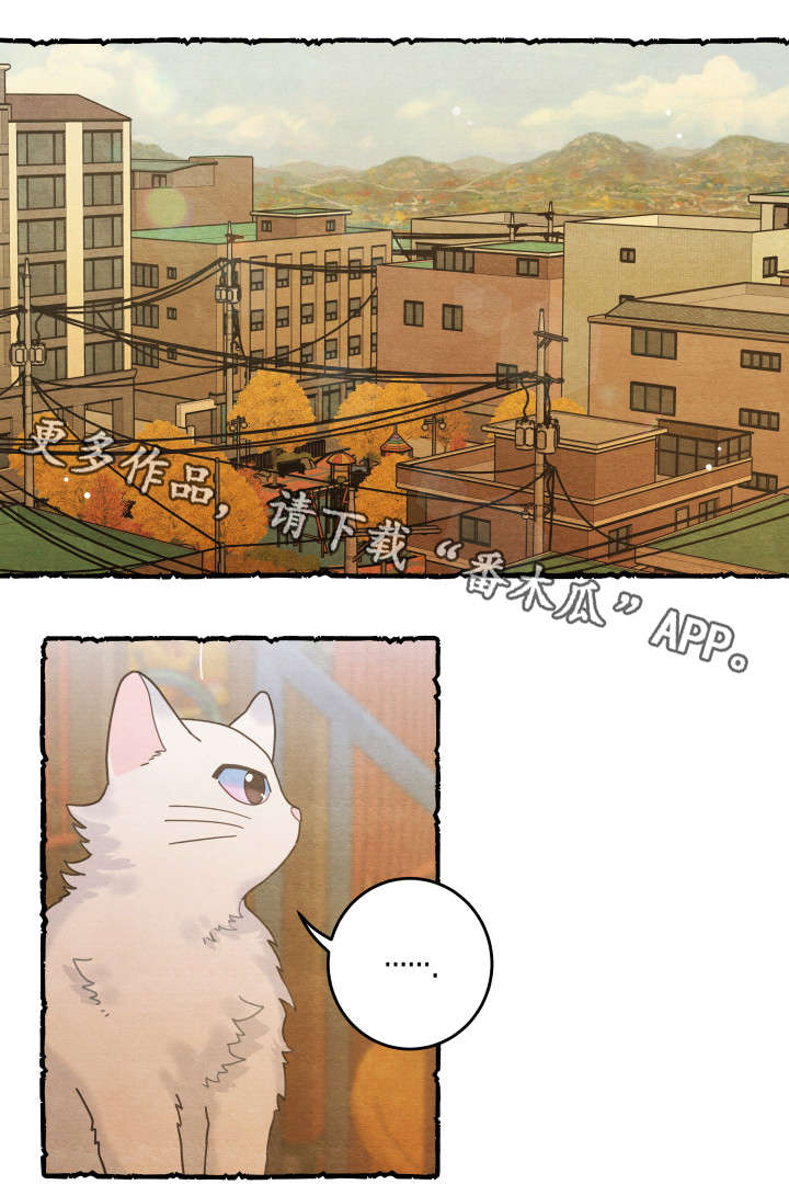 《亲爱的喵君》漫画最新章节第38章：打扰免费下拉式在线观看章节第【7】张图片