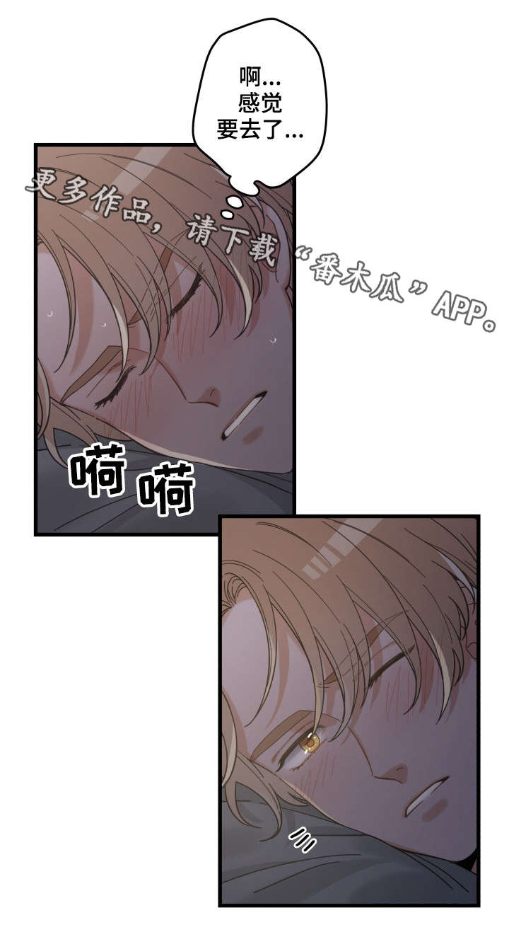 《亲爱的喵君》漫画最新章节第38章：打扰免费下拉式在线观看章节第【9】张图片