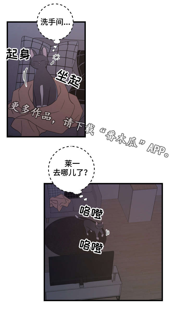 《亲爱的喵君》漫画最新章节第38章：打扰免费下拉式在线观看章节第【11】张图片