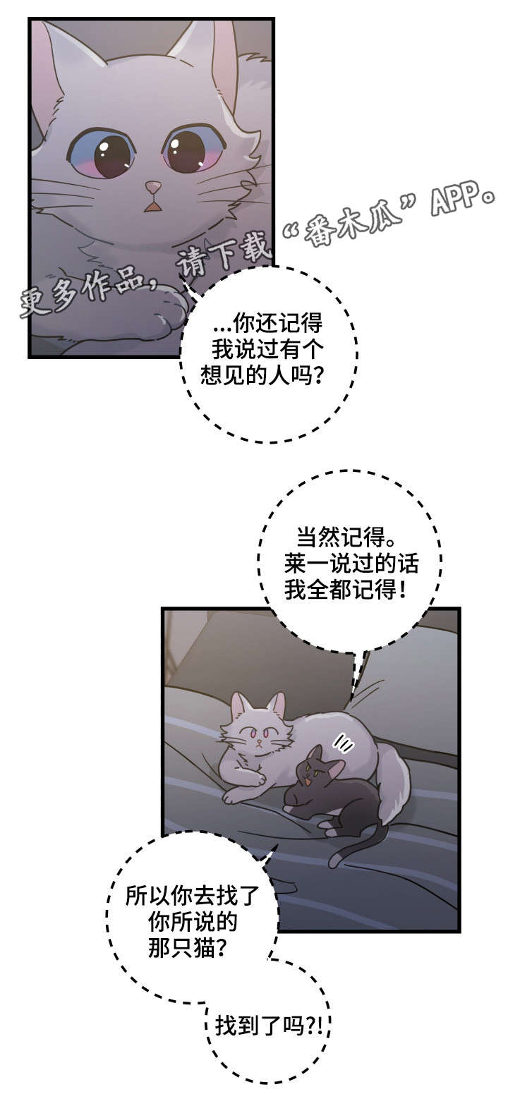 《亲爱的喵君》漫画最新章节第39章：你别走免费下拉式在线观看章节第【8】张图片