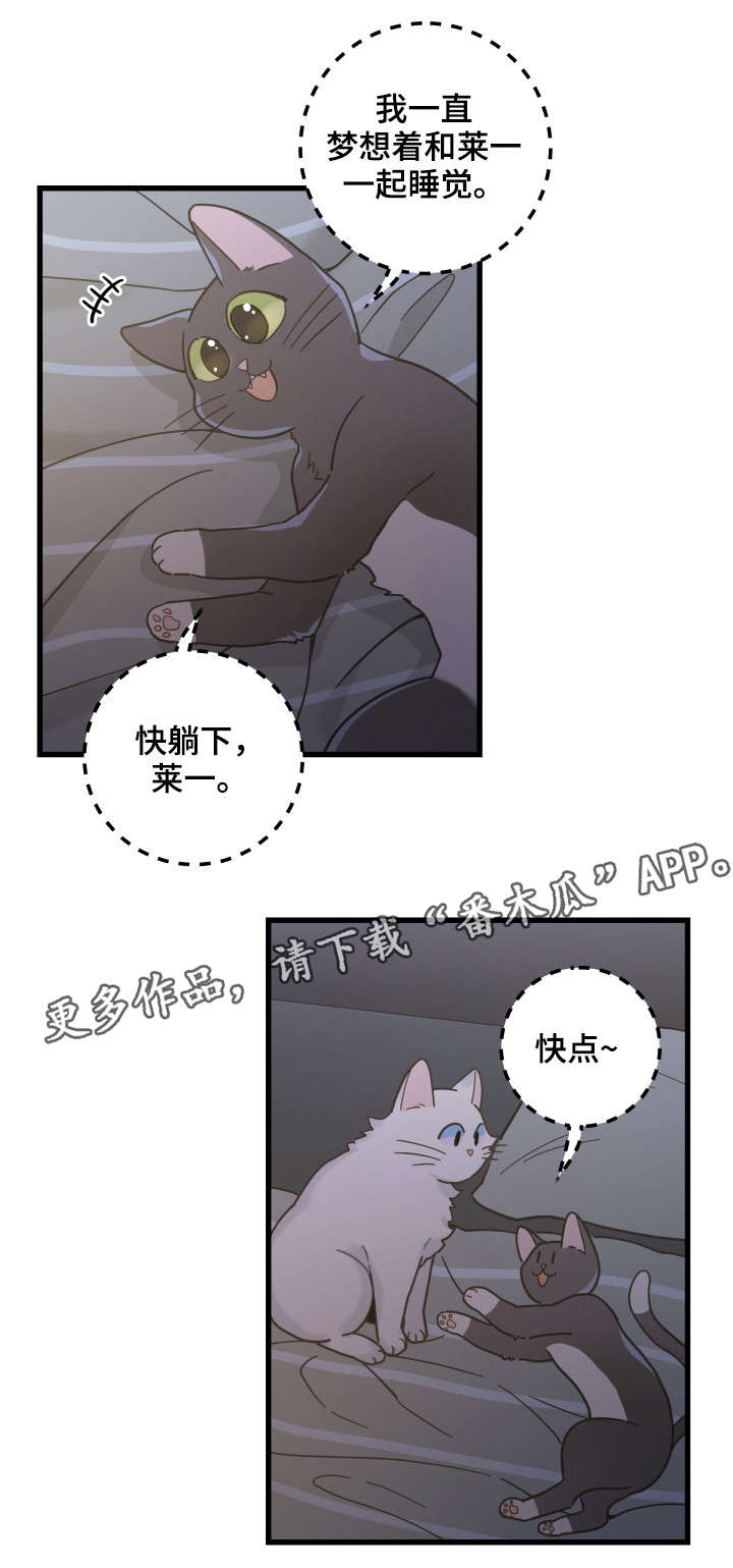 《亲爱的喵君》漫画最新章节第39章：你别走免费下拉式在线观看章节第【11】张图片