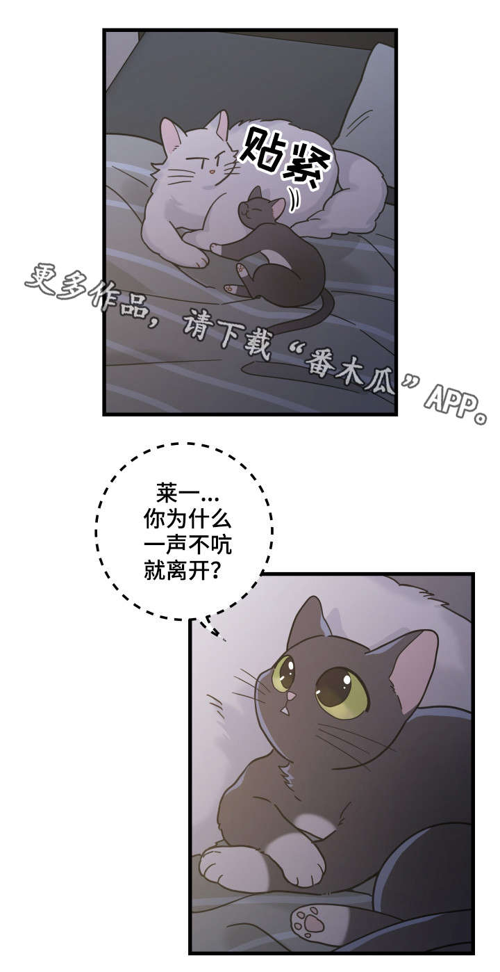 《亲爱的喵君》漫画最新章节第39章：你别走免费下拉式在线观看章节第【9】张图片