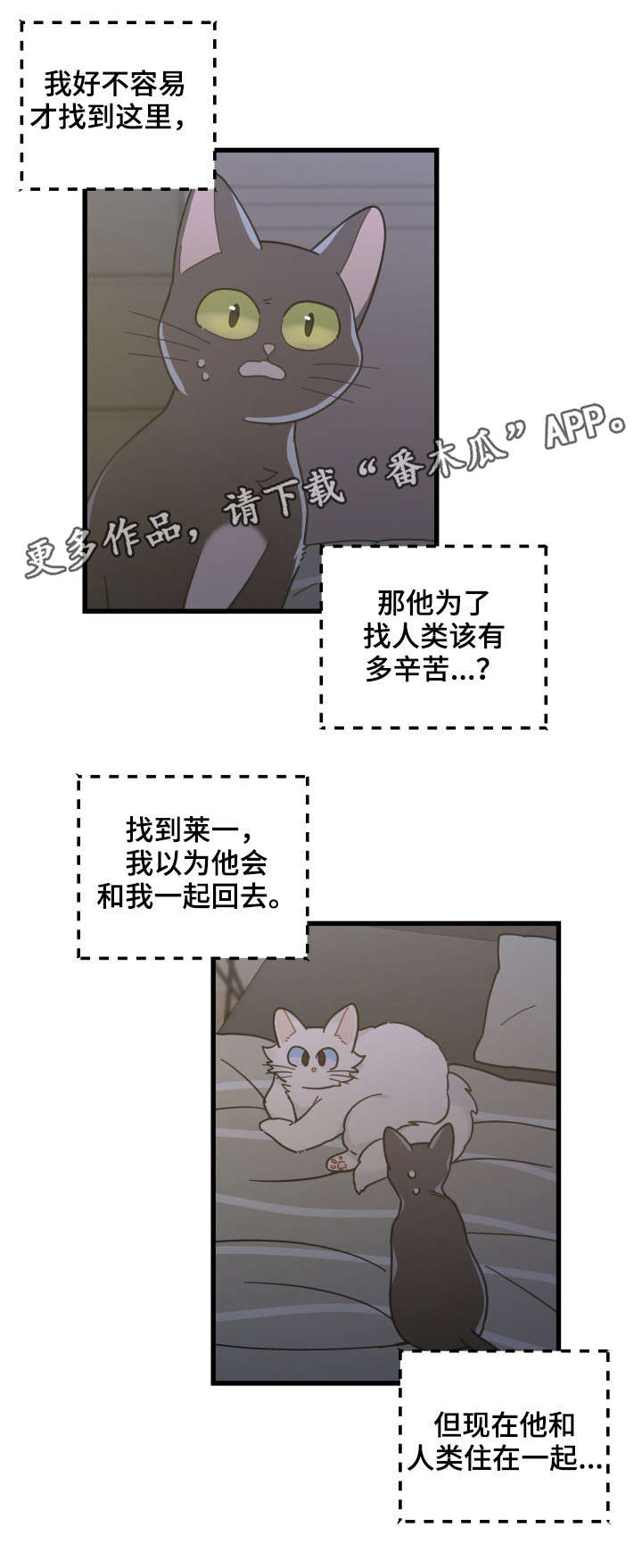 《亲爱的喵君》漫画最新章节第39章：你别走免费下拉式在线观看章节第【6】张图片