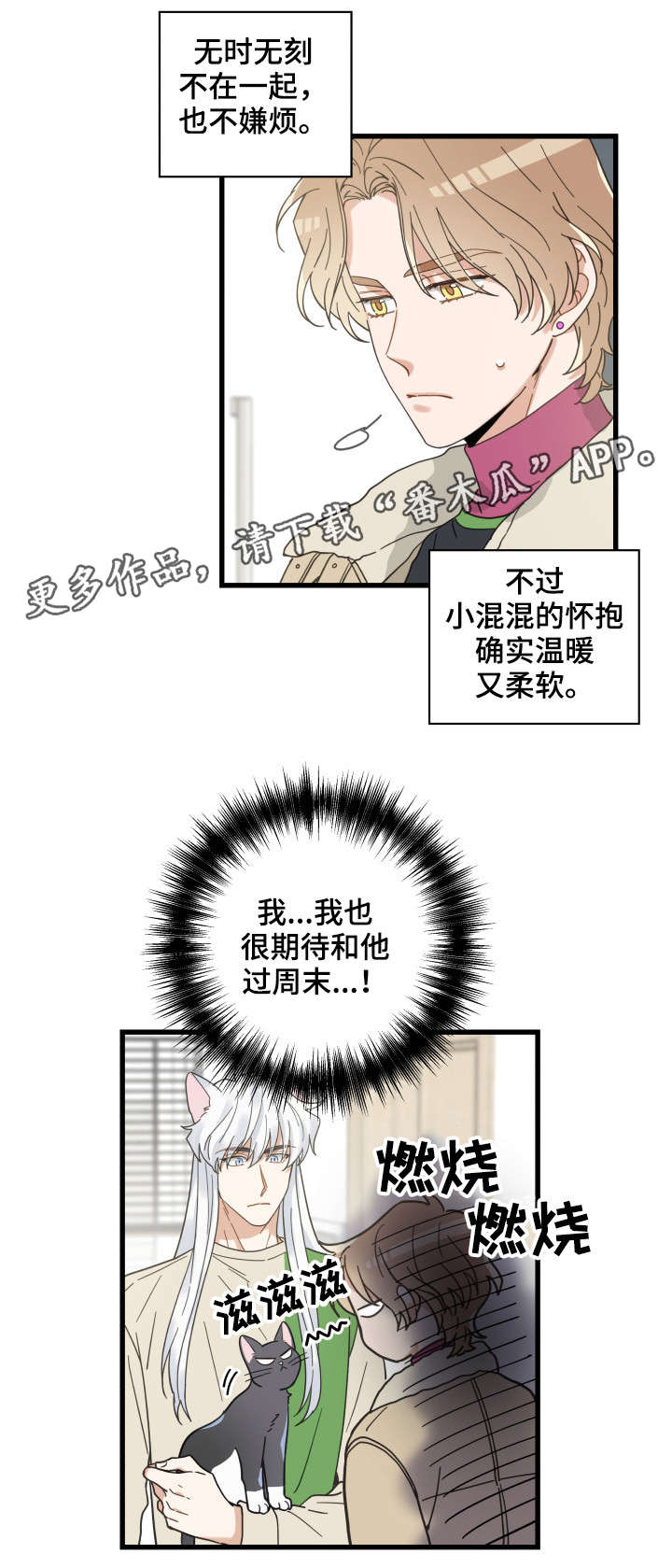 《亲爱的喵君》漫画最新章节第40章：决心免费下拉式在线观看章节第【6】张图片