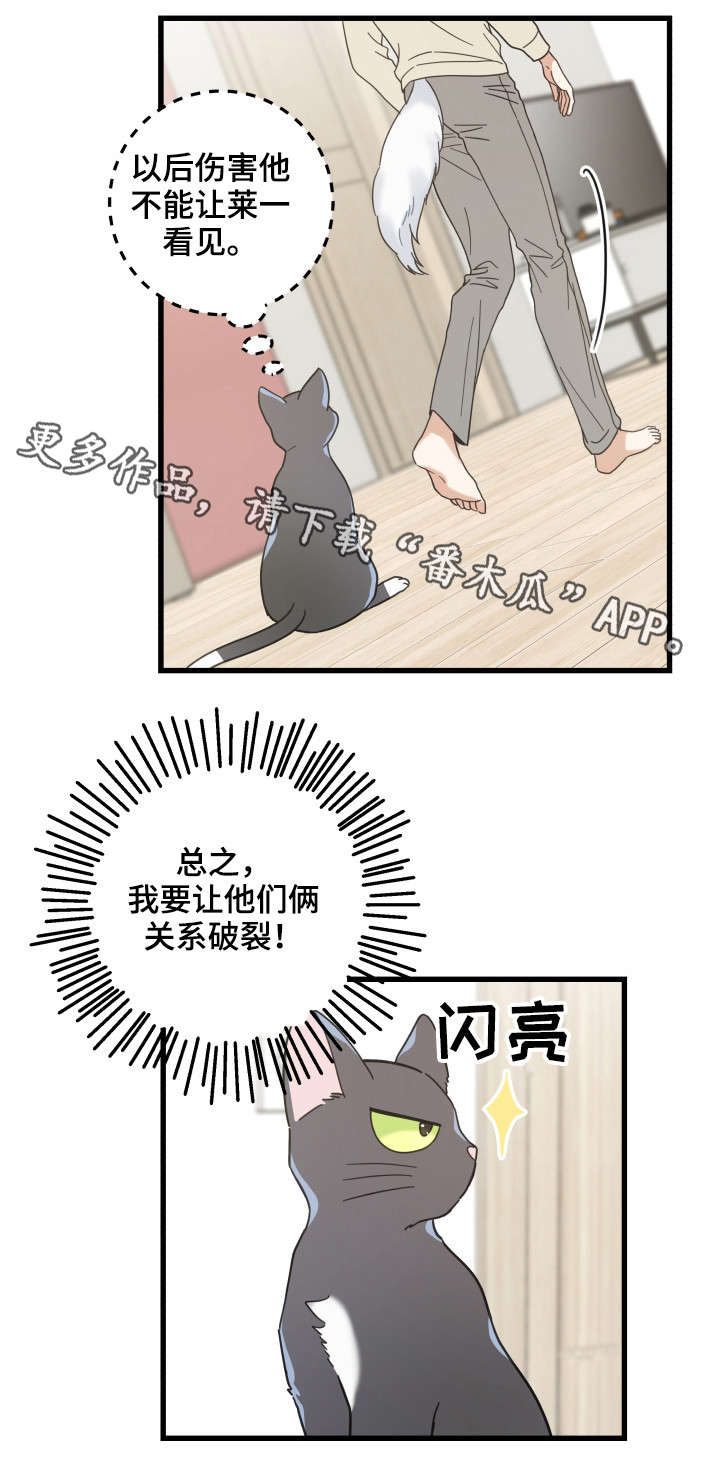 《亲爱的喵君》漫画最新章节第41章：本能免费下拉式在线观看章节第【15】张图片