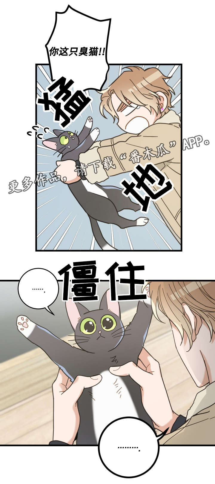 《亲爱的喵君》漫画最新章节第42章：臭猫免费下拉式在线观看章节第【12】张图片