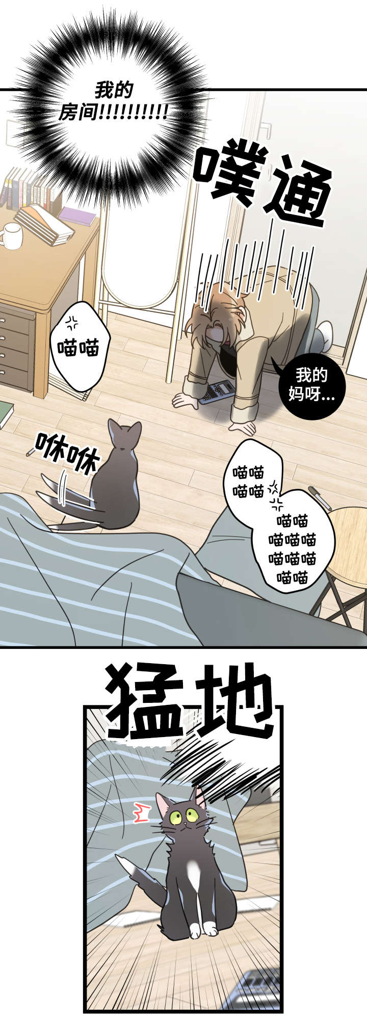 《亲爱的喵君》漫画最新章节第42章：臭猫免费下拉式在线观看章节第【13】张图片