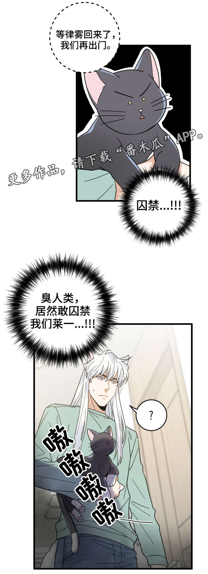 《亲爱的喵君》漫画最新章节第42章：臭猫免费下拉式在线观看章节第【1】张图片