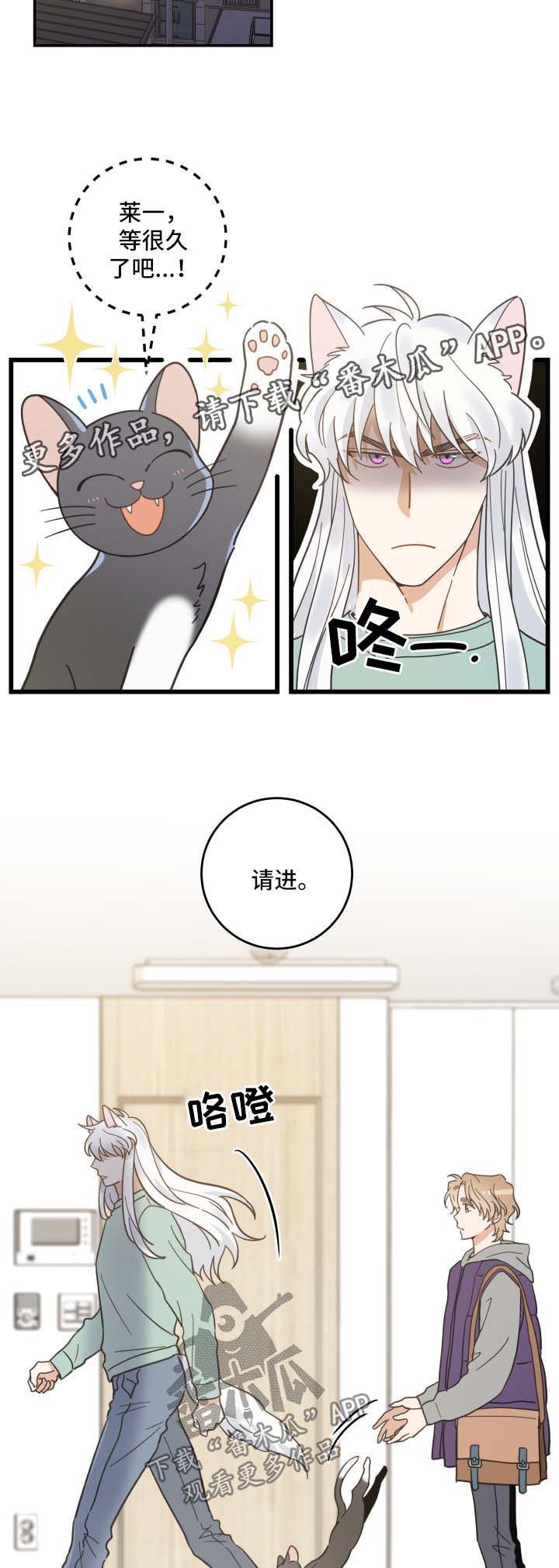 《亲爱的喵君》漫画最新章节第44章：快乐生活免费下拉式在线观看章节第【4】张图片