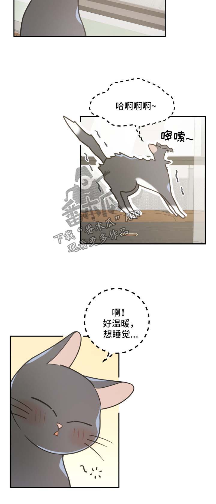 《亲爱的喵君》漫画最新章节第44章：快乐生活免费下拉式在线观看章节第【8】张图片