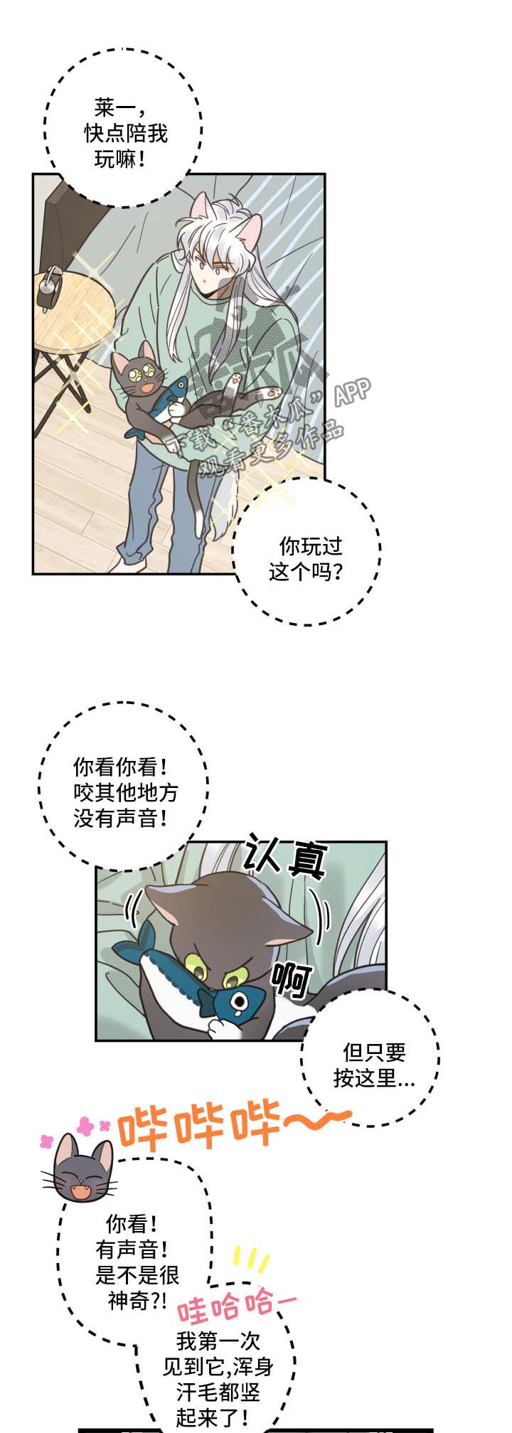 《亲爱的喵君》漫画最新章节第45章：生气免费下拉式在线观看章节第【4】张图片